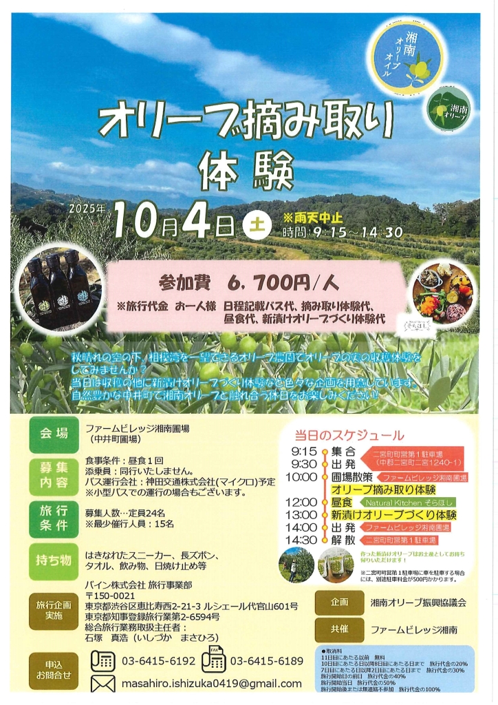 オリーブ摘み取り体験 | 二宮町商工会